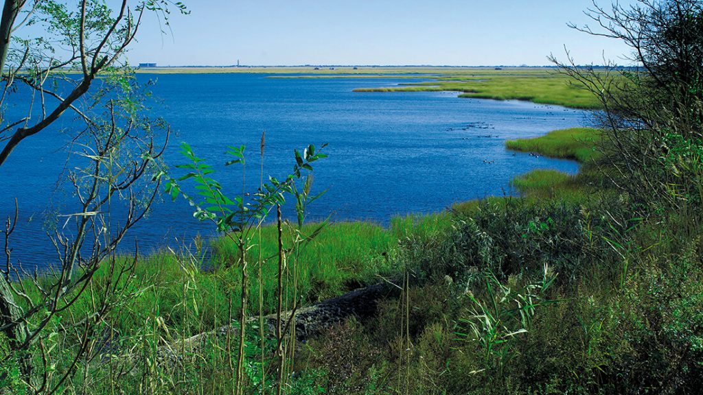 Norman J. Levy Park & Preserve (Merrick Landfill Conversion) header