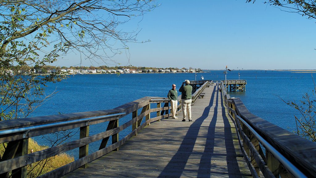 Norman J. Levy Park & Preserve (Merrick Landfill Conversion) header