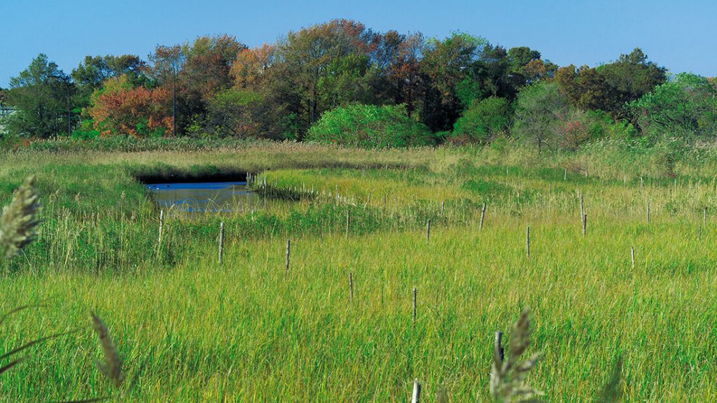 Norman J. Levy Park & Preserve (Merrick Landfill Conversion) header
