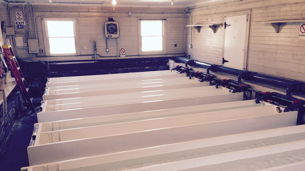 Connetquot State Park Fish Hatchery header