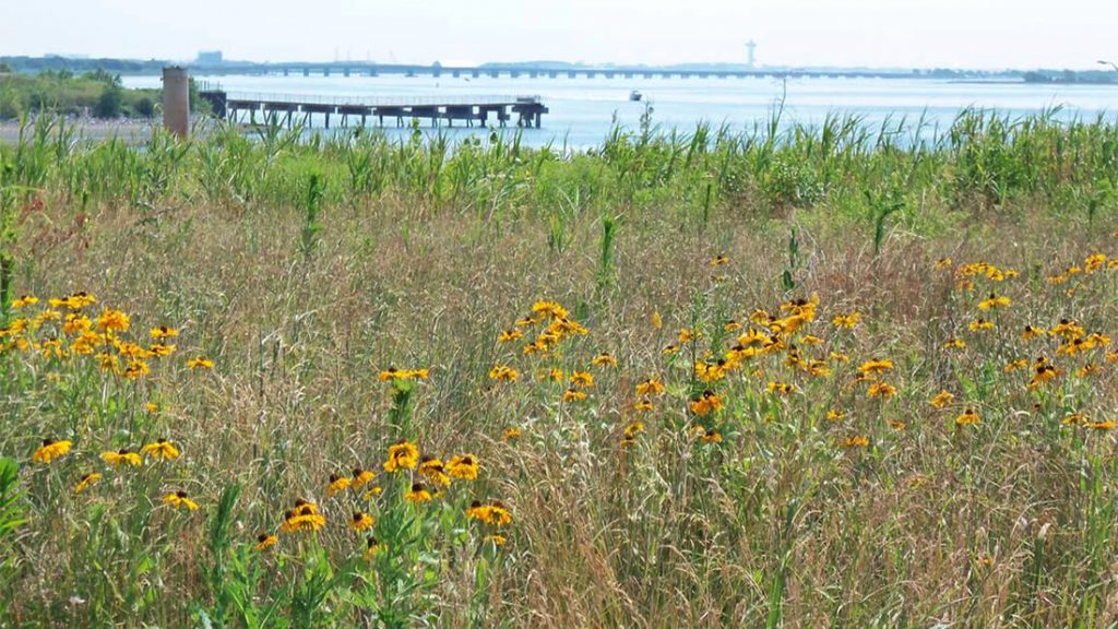 Pennsylvania & Fountain Avenue Landfills header