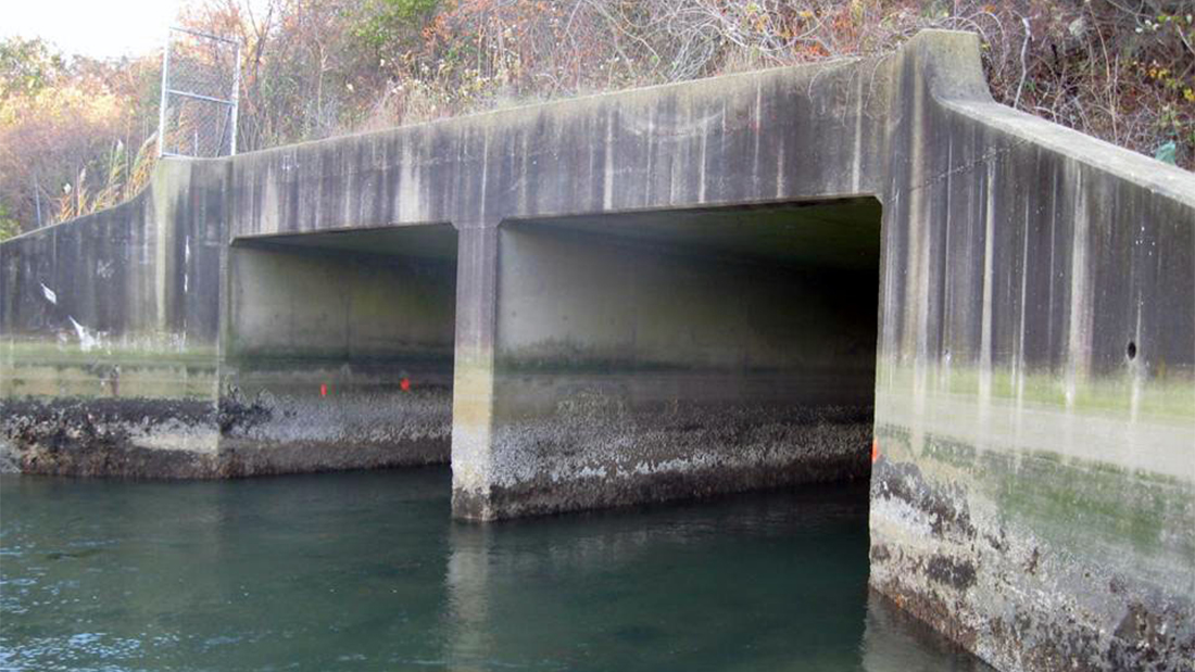 Daly Boulevard Culvert Rehabilitation header