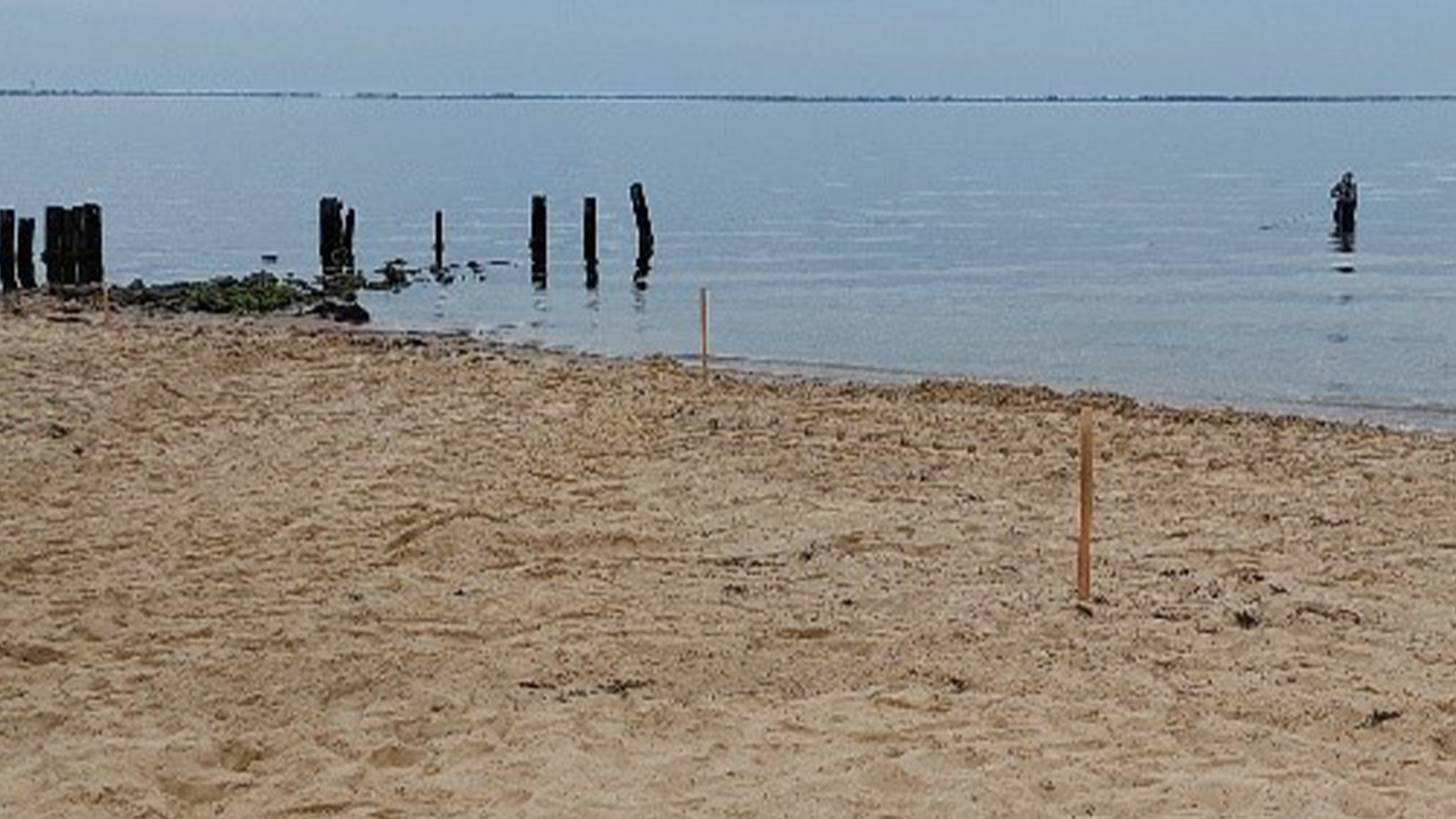 Oyster Castle Erosion Protection System at Islip Beach header